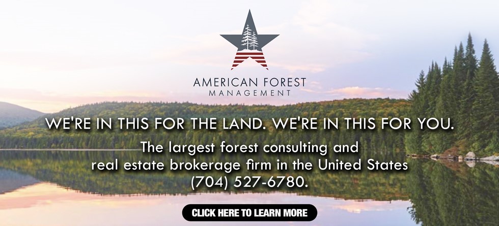 American Forest Management Inc